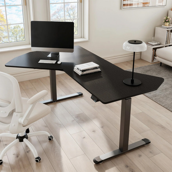 Eureka Ergonomic EDI FS Office Standing Desk, Black  